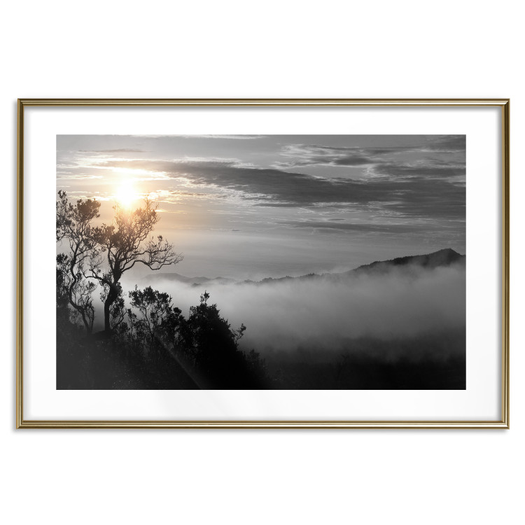 Poster Sunrise - dark landscape of trees against clouds and dense fog 117258 additionalImage 14