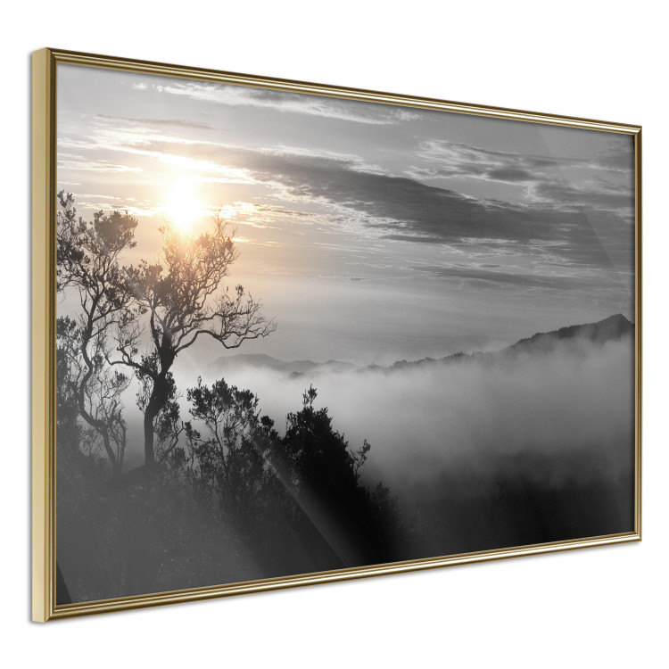 Poster Sunrise - dark landscape of trees against clouds and dense fog 117258 additionalImage 14
