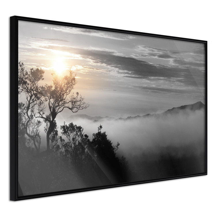 Poster Sunrise - dark landscape of trees against clouds and dense fog 117258 additionalImage 12