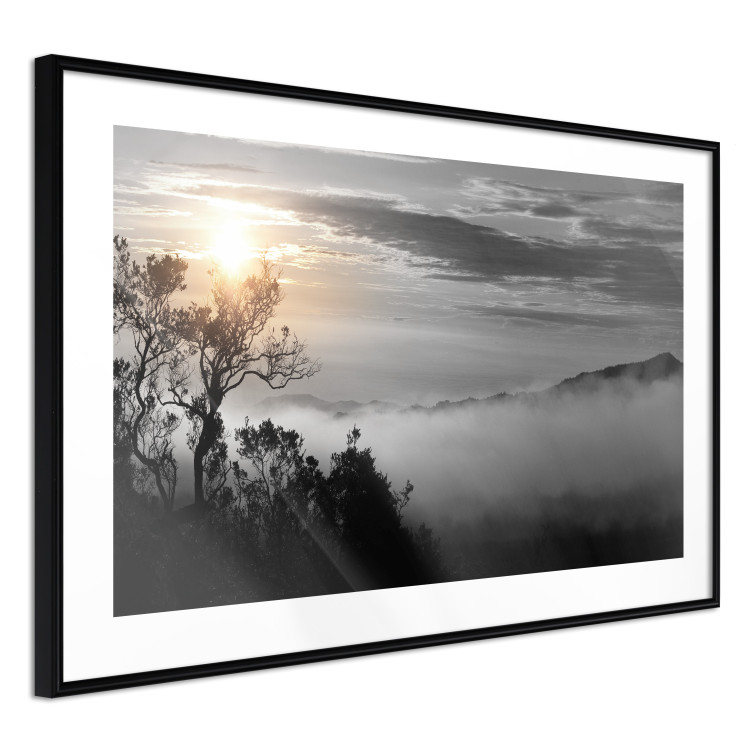 Poster Sunrise - dark landscape of trees against clouds and dense fog 117258 additionalImage 11