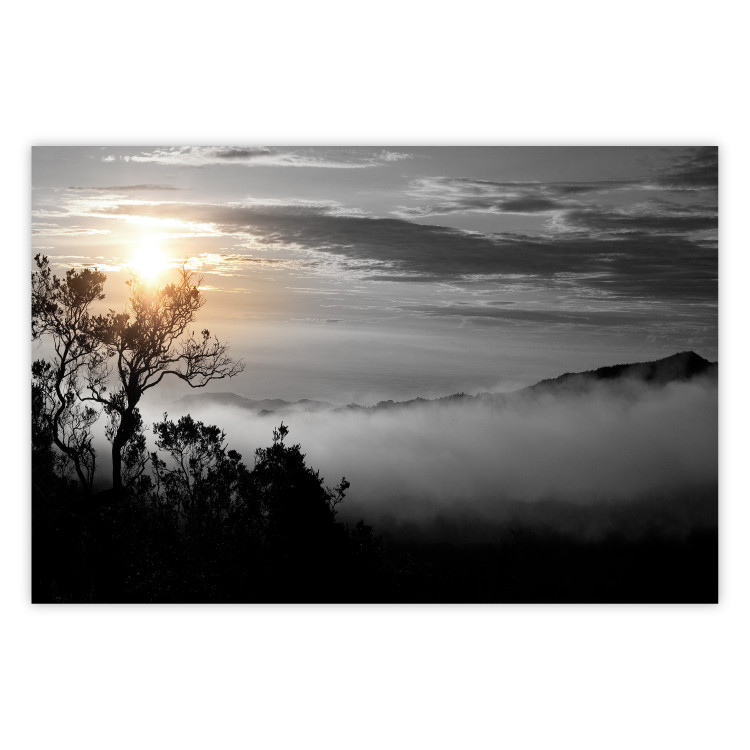 Poster Sunrise - dark landscape of trees against clouds and dense fog 117258
