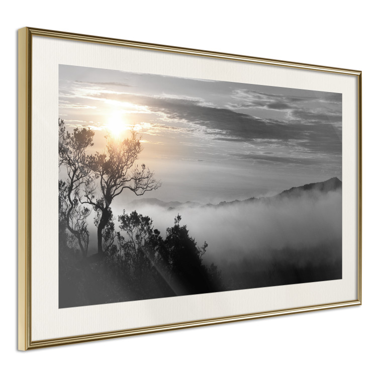 Poster Sunrise - dark landscape of trees against clouds and dense fog 117258 additionalImage 2