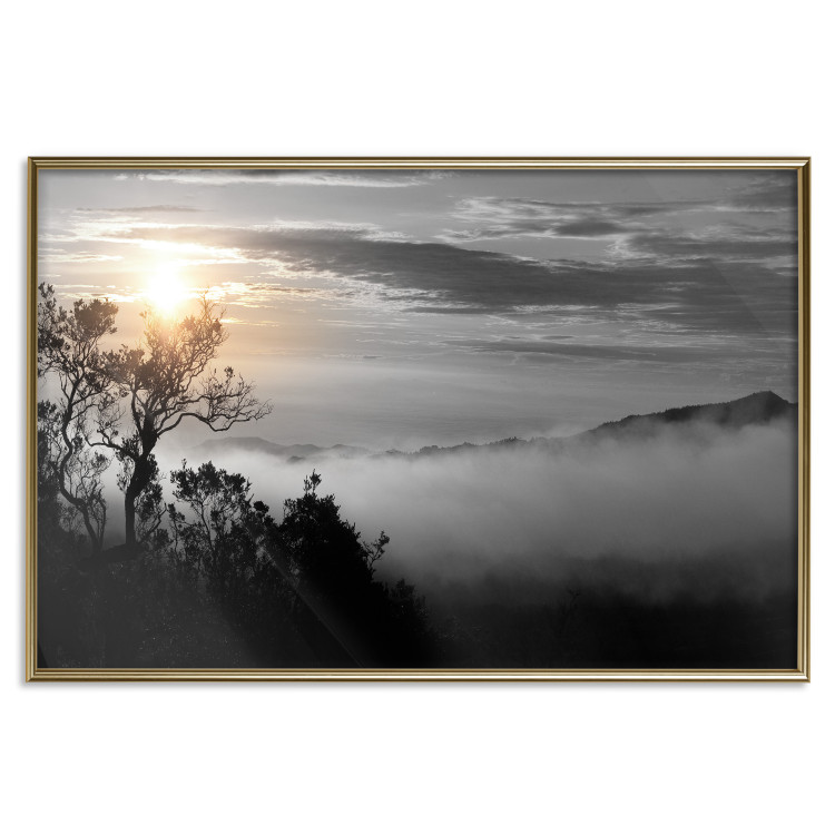 Poster Sunrise - dark landscape of trees against clouds and dense fog 117258 additionalImage 20