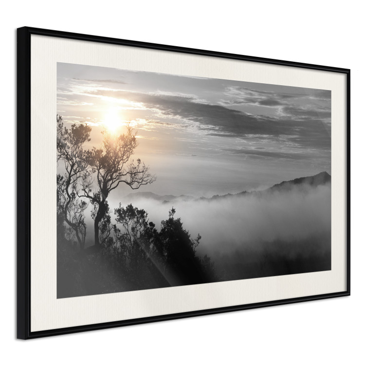Poster Sunrise - dark landscape of trees against clouds and dense fog 117258 additionalImage 3