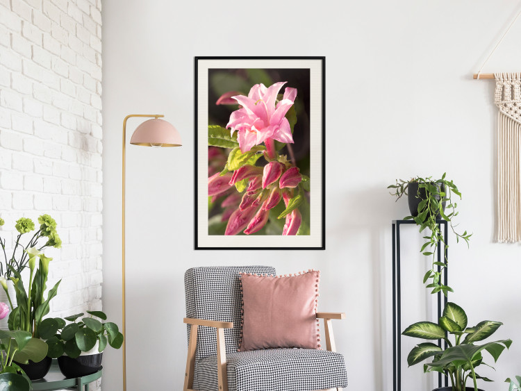 Poster Natural Pink - botanical composition with a flower with colorful petals 120458 additionalImage 19