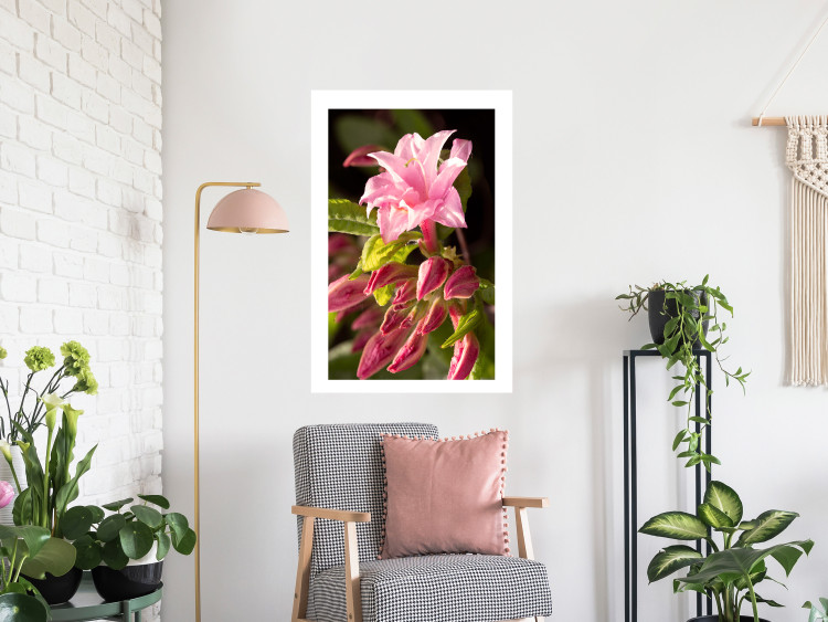 Poster Natural Pink - botanical composition with a flower with colorful petals 120458 additionalImage 2