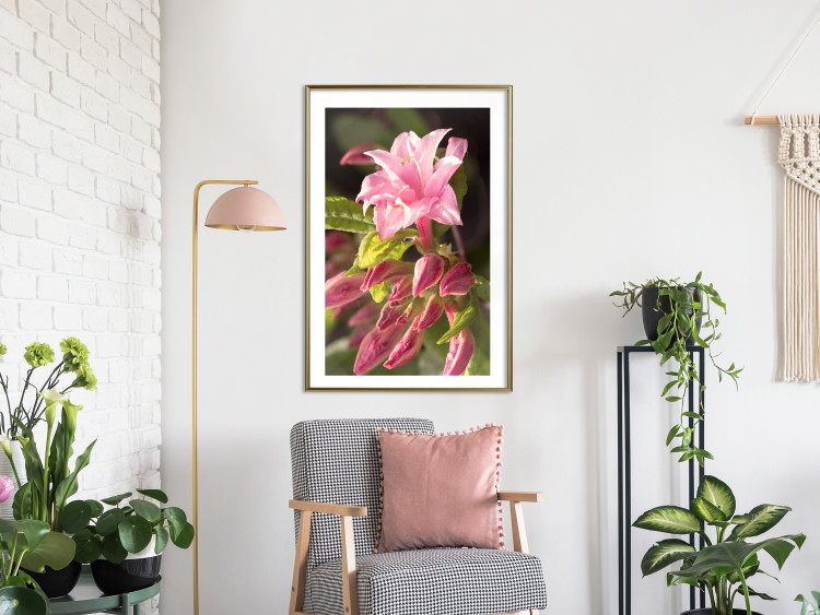 Poster Natural Pink - botanical composition with a flower with colorful petals 120458 additionalImage 13