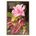 Poster Natural Pink - botanical composition with a flower with colorful petals 120458 additionalThumb 19