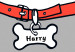 Wall Poster Harry the Dog - funny white animal with a collar and English texts 122758 additionalThumb 8