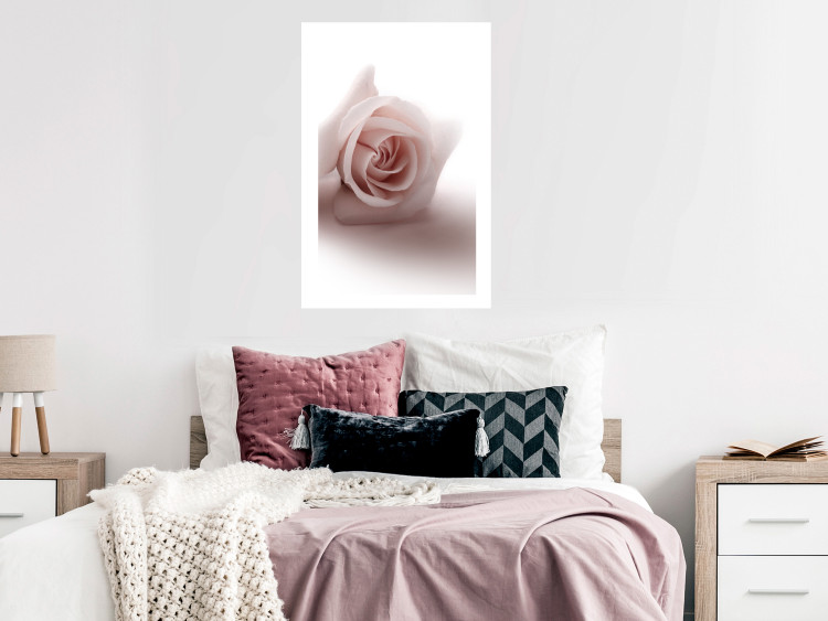 Wall Poster Rose Shadow - light pink rose casting a shadow on a white background 122858 additionalImage 4