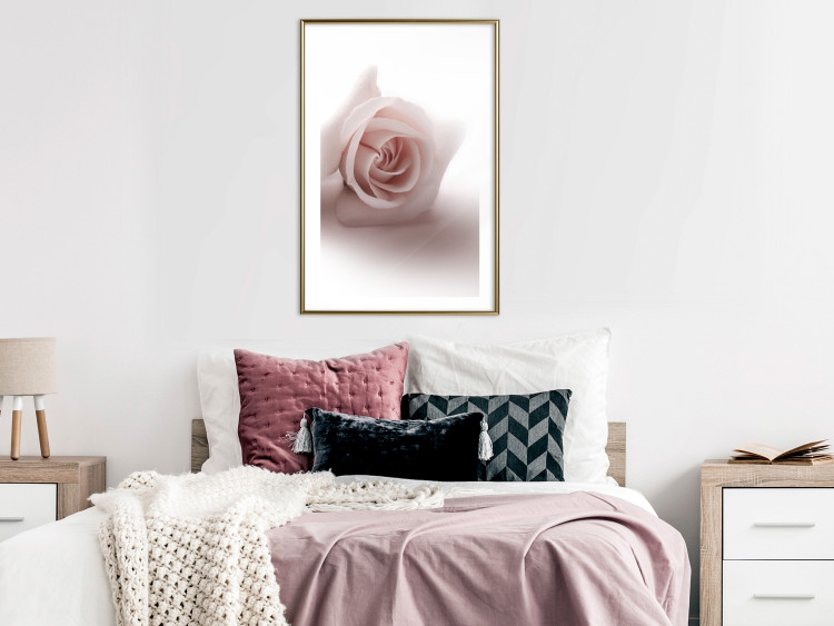 Wall Poster Rose Shadow - light pink rose casting a shadow on a white background 122858 additionalImage 13