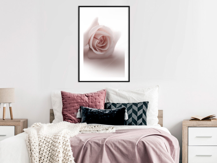 Wall Poster Rose Shadow - light pink rose casting a shadow on a white background 122858 additionalImage 6