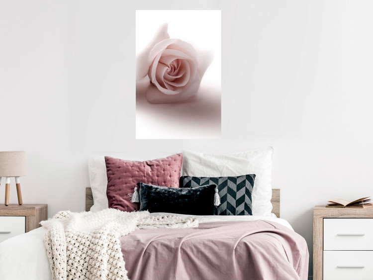 Wall Poster Rose Shadow - light pink rose casting a shadow on a white background 122858 additionalImage 23