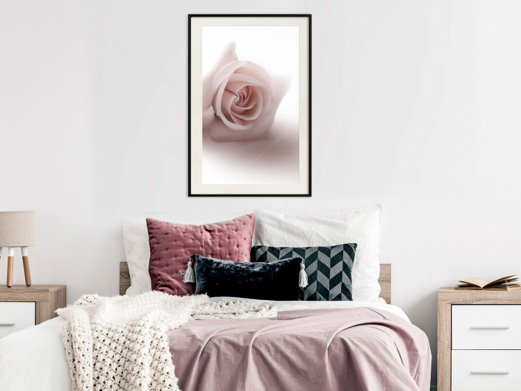 Wall Poster Rose Shadow - light pink rose casting a shadow on a white background 122858 additionalImage 22