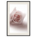 Wall Poster Rose Shadow - light pink rose casting a shadow on a white background 122858 additionalThumb 18