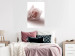 Wall Poster Rose Shadow - light pink rose casting a shadow on a white background 122858 additionalThumb 17
