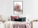 Wall Poster Rose Shadow - light pink rose casting a shadow on a white background 122858 additionalThumb 3