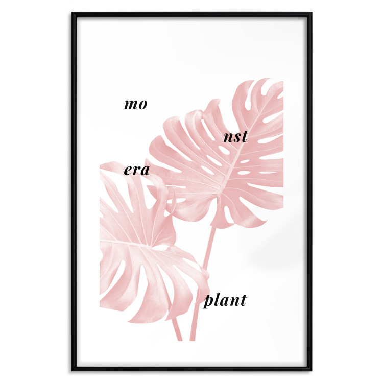 Wall Poster Monstera Plant - tropical leaf with English text on a white background 122958 additionalImage 17