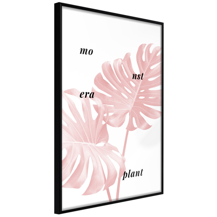 Wall Poster Monstera Plant - tropical leaf with English text on a white background 122958 additionalImage 10
