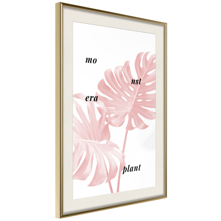 Wall Poster Monstera Plant - tropical leaf with English text on a white background 122958 additionalImage 2