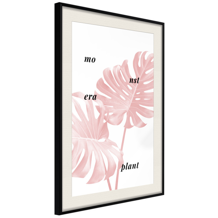 Wall Poster Monstera Plant - tropical leaf with English text on a white background 122958 additionalImage 3
