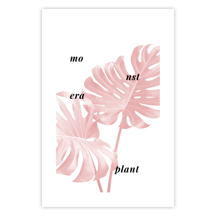 Wall Poster Monstera Plant - tropical leaf with English text on a white background 122958 additionalImage 25