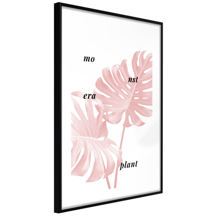 Wall Poster Monstera Plant - tropical leaf with English text on a white background 122958 additionalImage 11