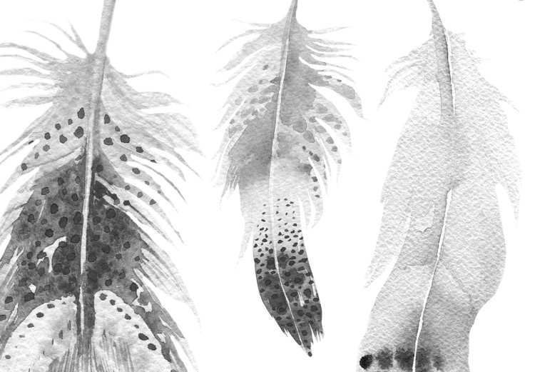 Canvas Boho Feathers (1-part) - English Text on White Background 123358 additionalImage 4