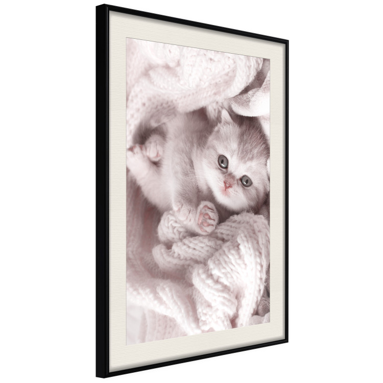 Poster Rest Lover - cat wrapped in a pink woolen blanket 124458 additionalImage 6