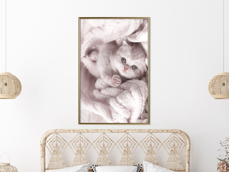 Poster Rest Lover - cat wrapped in a pink woolen blanket 124458 additionalImage 8