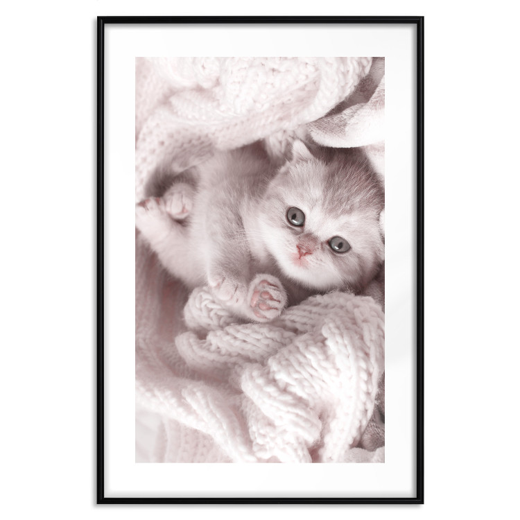 Poster Rest Lover - cat wrapped in a pink woolen blanket 124458 additionalImage 17