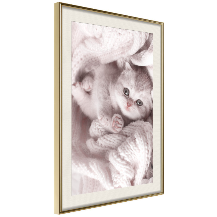 Poster Rest Lover - cat wrapped in a pink woolen blanket 124458 additionalImage 8