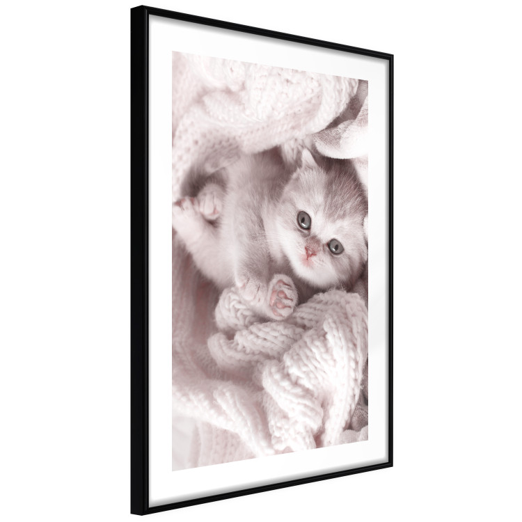 Poster Rest Lover - cat wrapped in a pink woolen blanket 124458 additionalImage 12