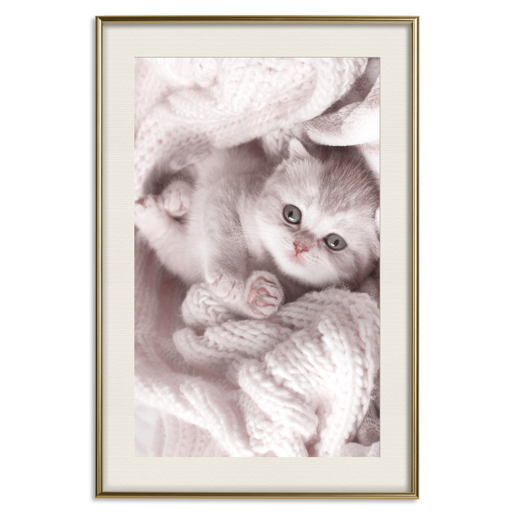 Poster Rest Lover - cat wrapped in a pink woolen blanket 124458 additionalImage 20