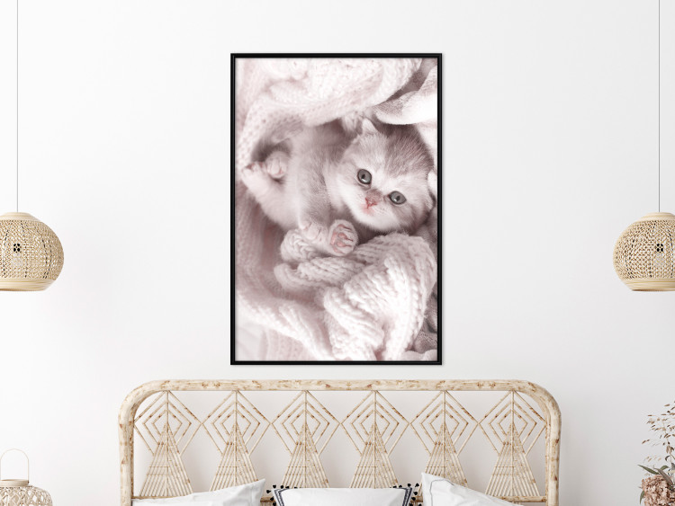 Poster Rest Lover - cat wrapped in a pink woolen blanket 124458 additionalImage 9