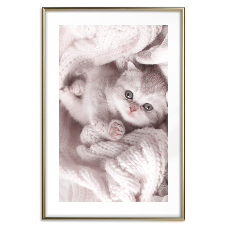 Poster Rest Lover - cat wrapped in a pink woolen blanket 124458 additionalImage 16