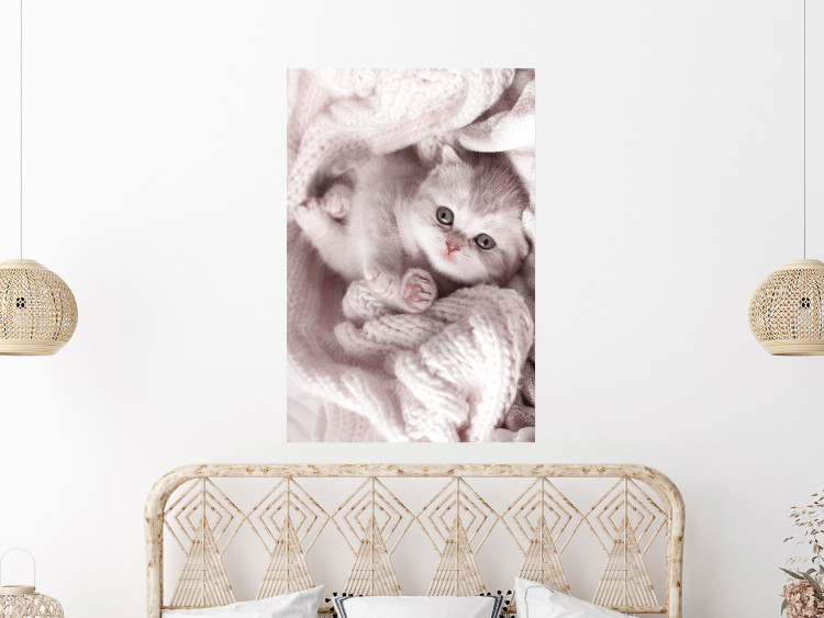 Poster Rest Lover - cat wrapped in a pink woolen blanket 124458 additionalImage 5