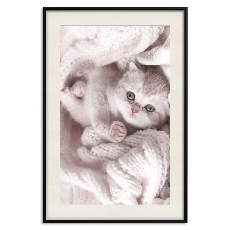 Poster Rest Lover - cat wrapped in a pink woolen blanket 124458 additionalImage 19