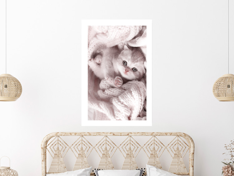 Poster Rest Lover - cat wrapped in a pink woolen blanket 124458 additionalImage 7