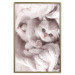 Poster Rest Lover - cat wrapped in a pink woolen blanket 124458 additionalThumb 21