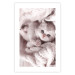 Poster Rest Lover - cat wrapped in a pink woolen blanket 124458 additionalThumb 25
