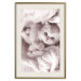Poster Rest Lover - cat wrapped in a pink woolen blanket 124458 additionalThumb 20