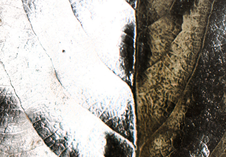 Canvas Art Print Leaf in glamor style - silver plant motif on beige background 124958 additionalImage 4