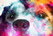 Wall Poster Watercolor Dog - unique colorful abstraction with domestic animal 128858 additionalThumb 9