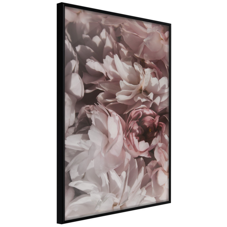 Poster Summer in the Garden - velvety composition of delicate red flowers 135758 additionalImage 12