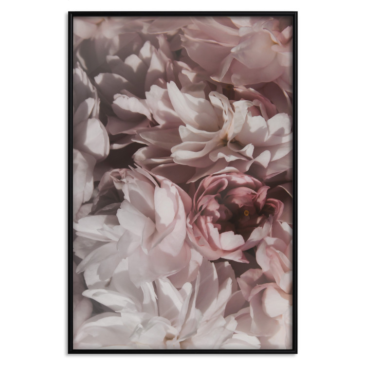 Poster Summer in the Garden - velvety composition of delicate red flowers 135758 additionalImage 15