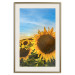 Poster Peace Flowers [Poster] 142458 additionalThumb 25