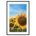 Poster Peace Flowers [Poster] 142458 additionalThumb 22