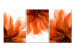Canvas Art Print Three Fiery Flowers (3-piece) - abstraction with floral motif 143058