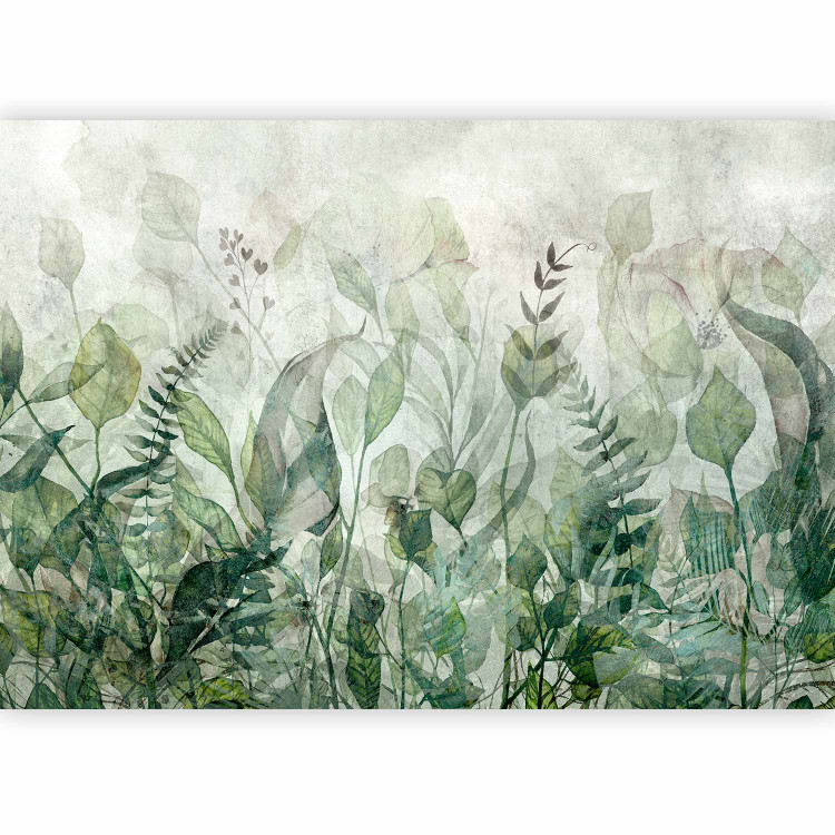Wall Mural Watercolour meadow - green leaf motif on a grey background 143858 additionalImage 1